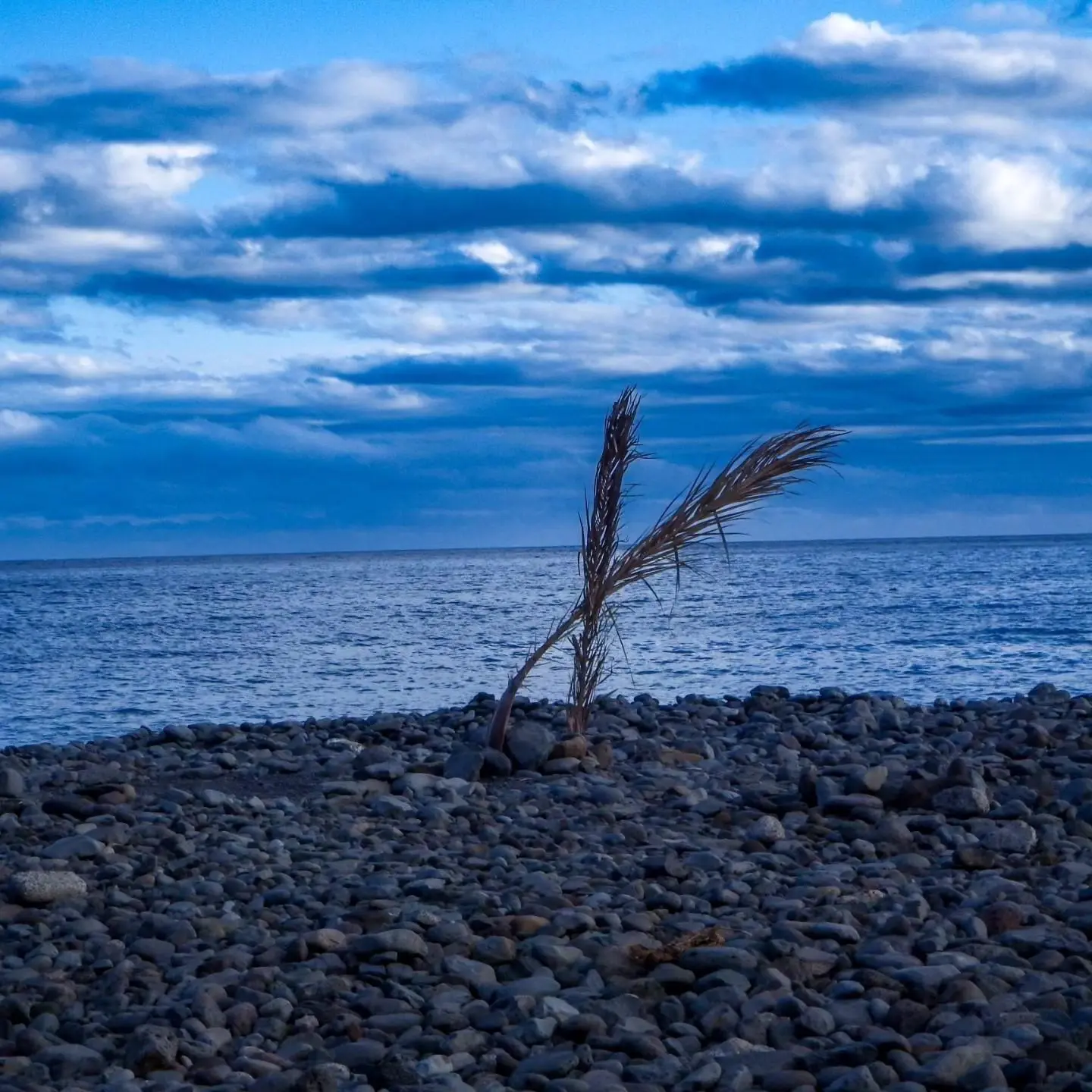 Banner image 4/4