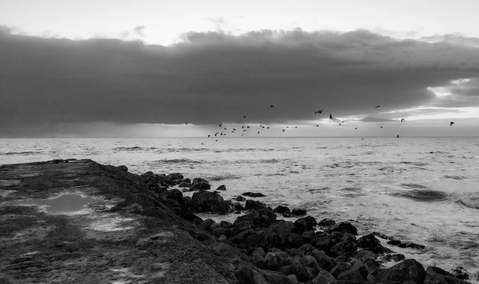Banner image 8/8