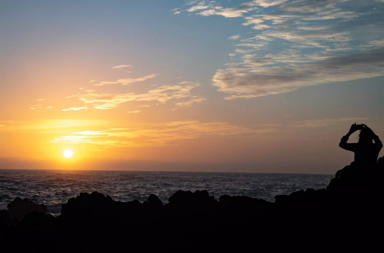 Banner image 7/7