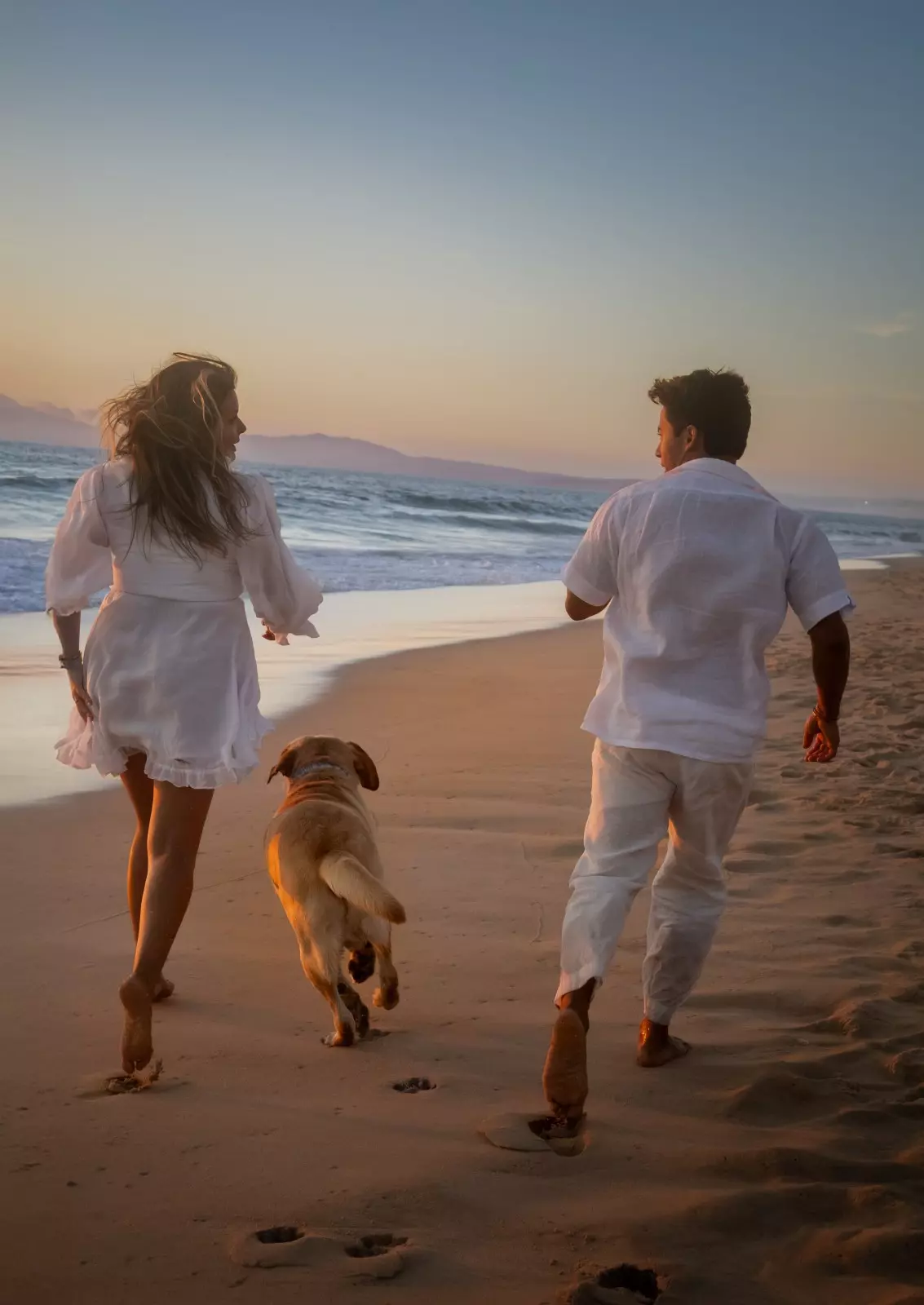 Banner image 4/4