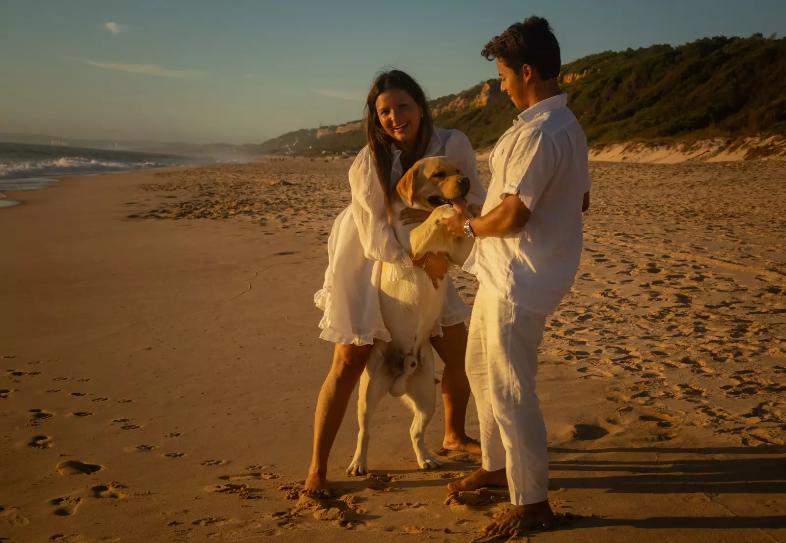 Banner image 1/1