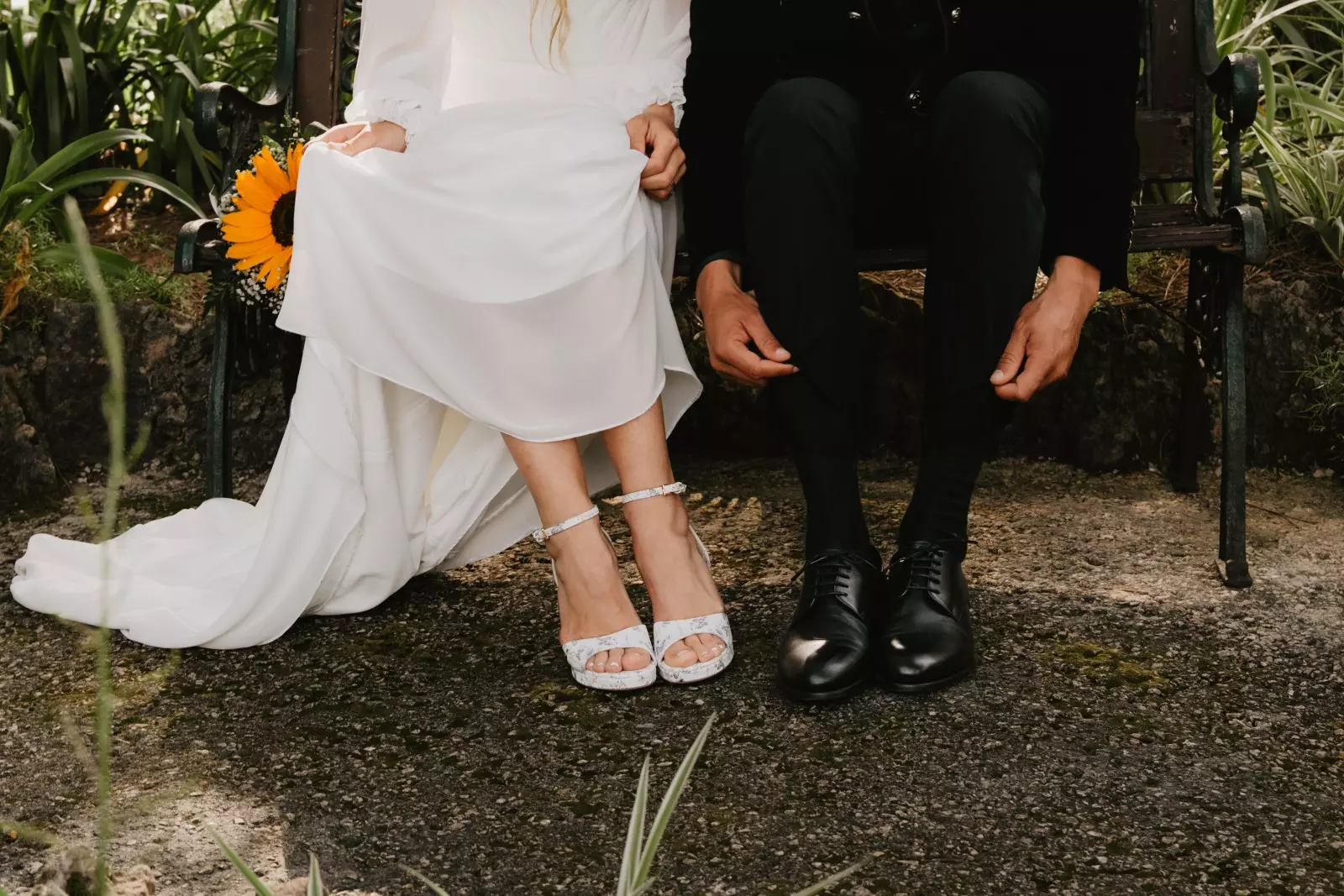 Banner image 7/7