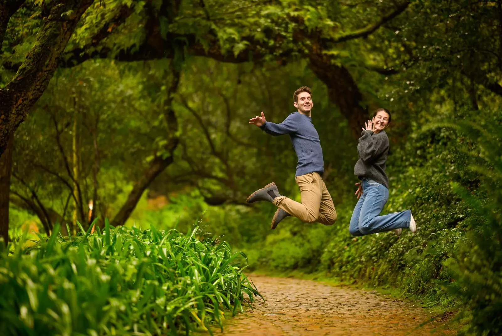 Banner image 3/3