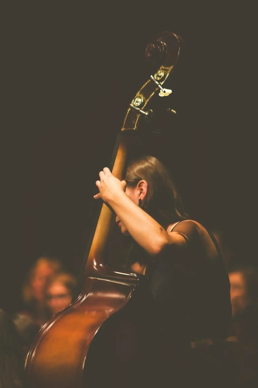 Banner image 4/4
