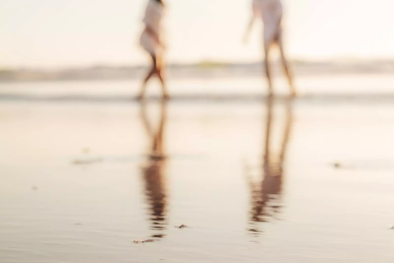 Banner image 8/8