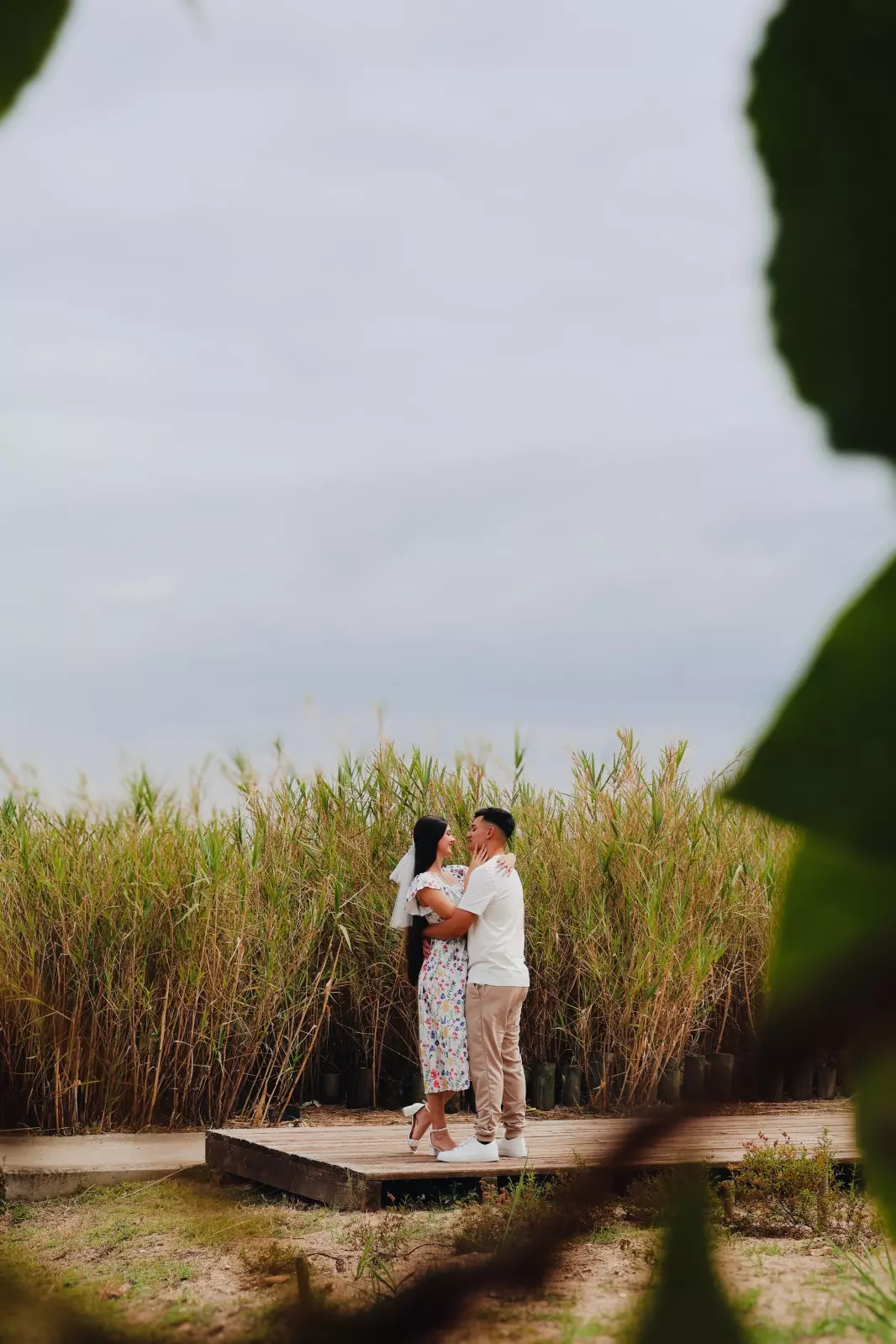 Banner image 5/5