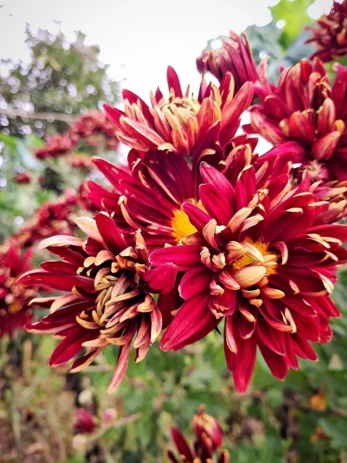 Banner image 8/8