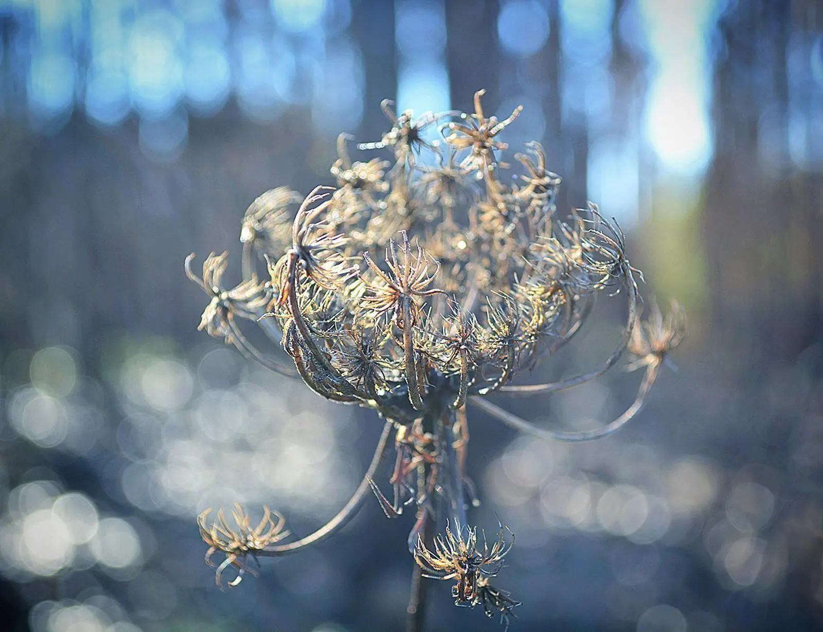 Banner image 6/6
