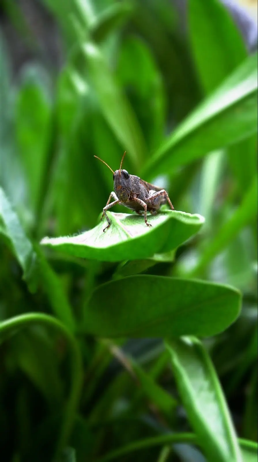 Banner image 7/7