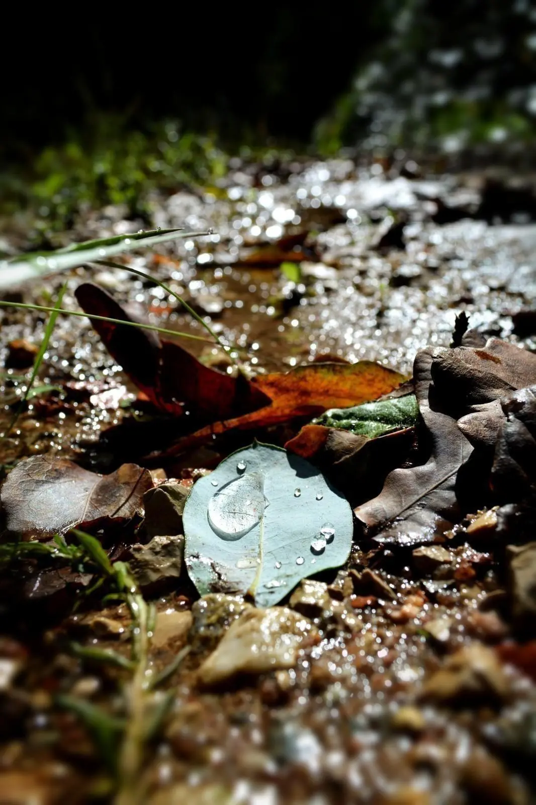Banner image 0/0