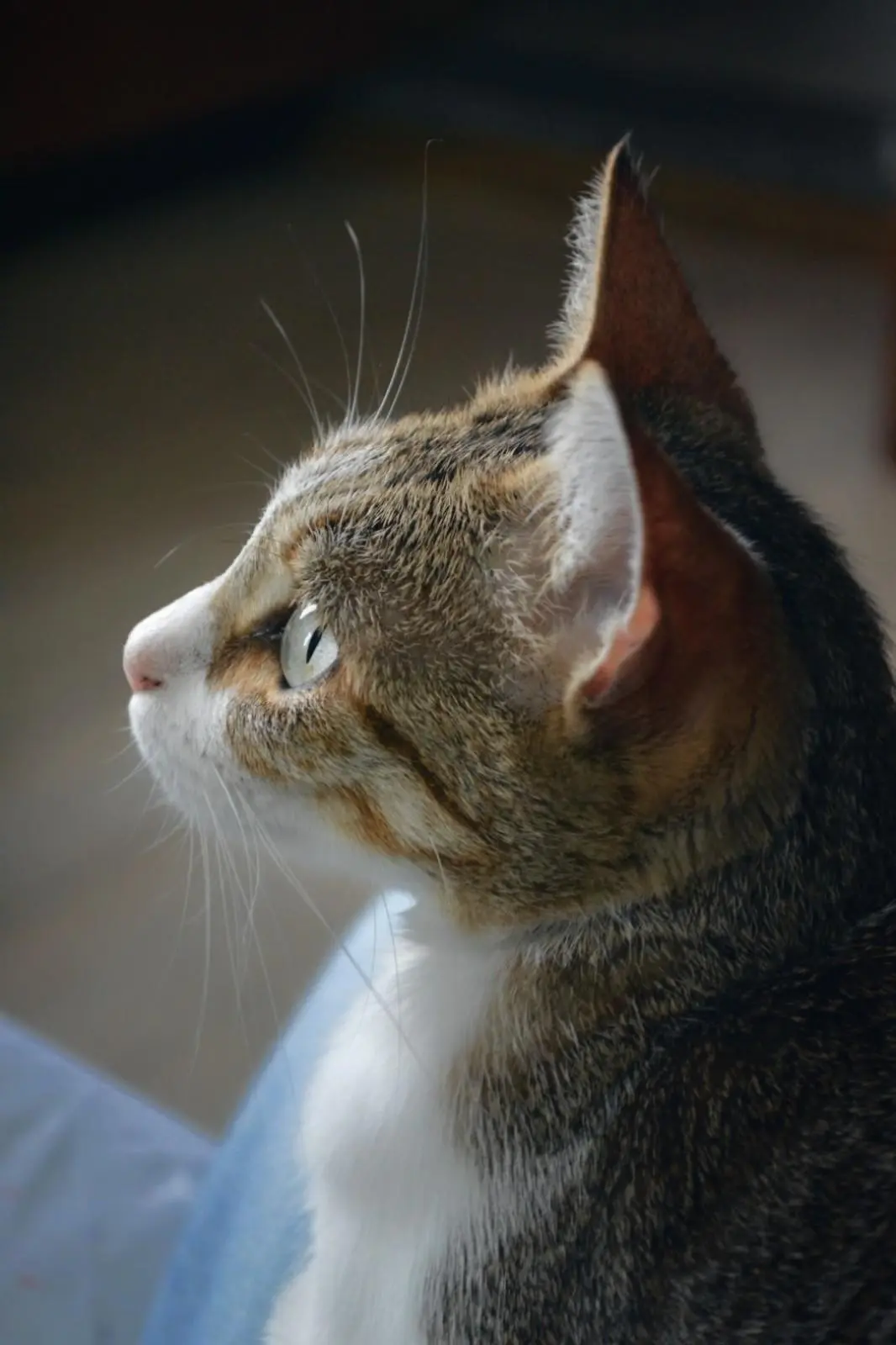 Banner image 9/9