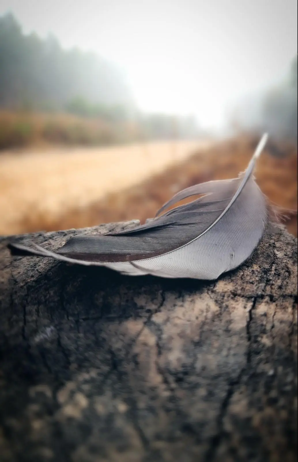 Banner image 5/5