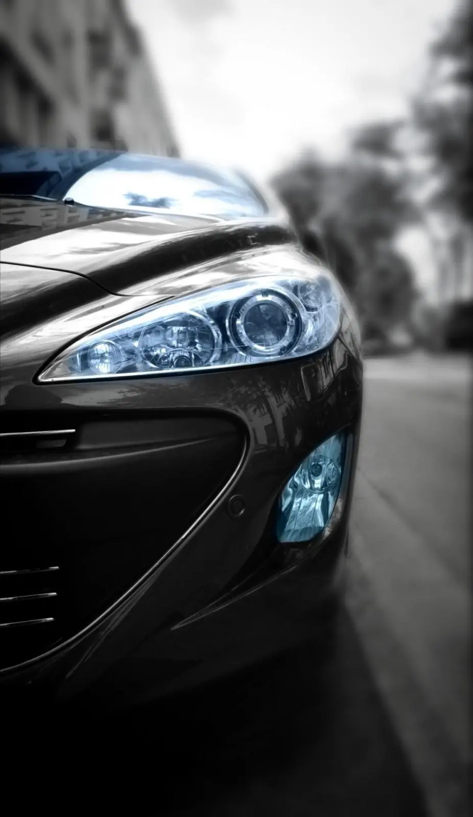 Banner image 4/4
