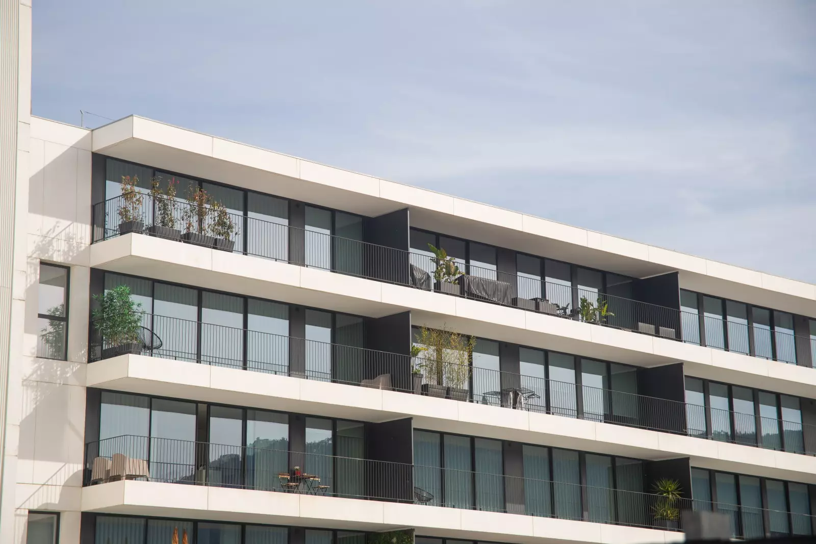 Banner image 7/7