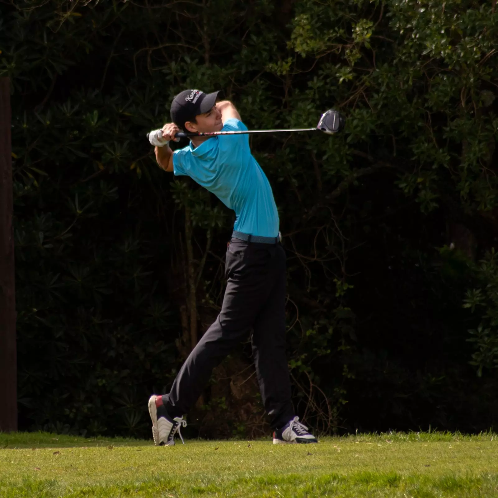 Banner image 9/9