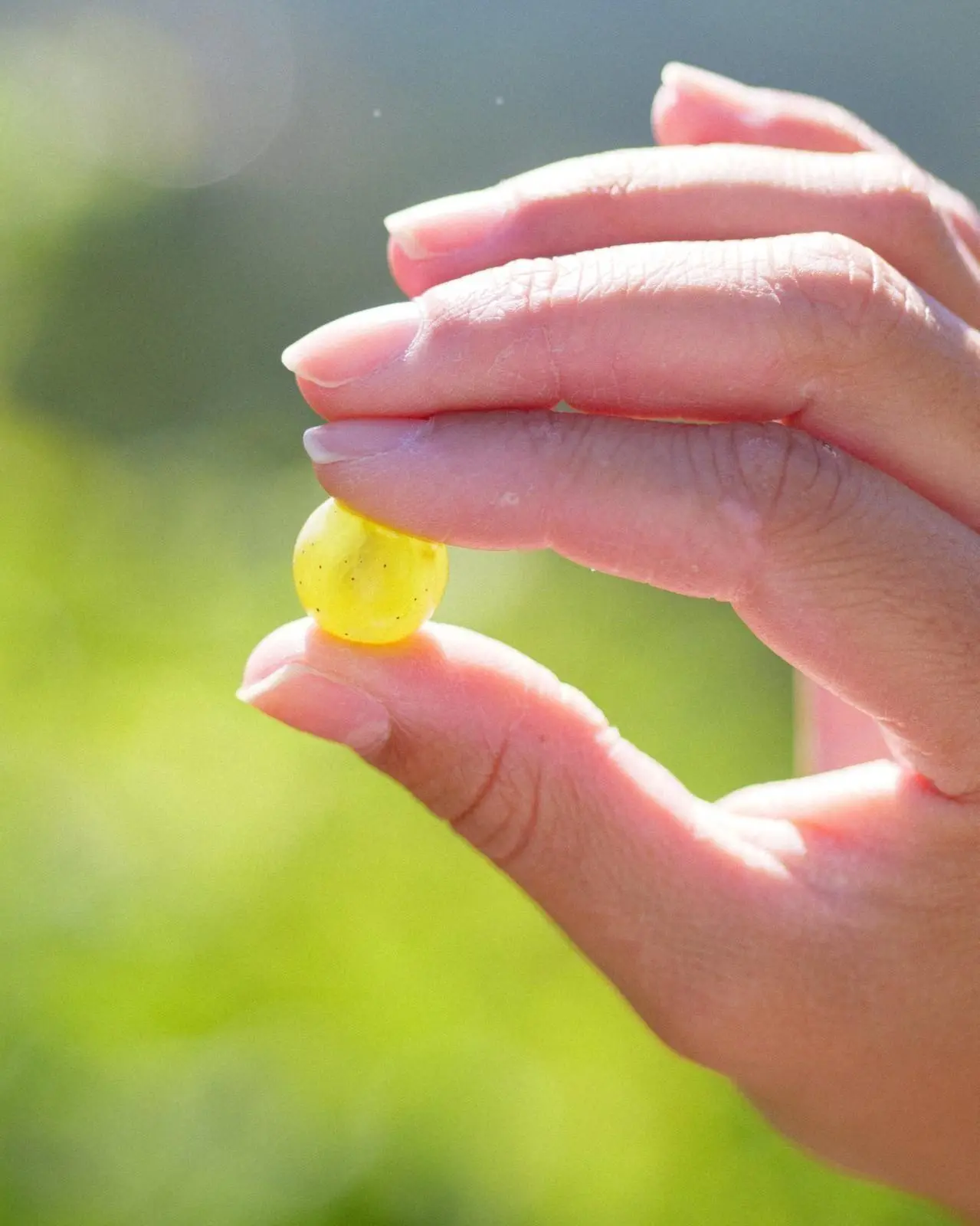 Banner image 5/5