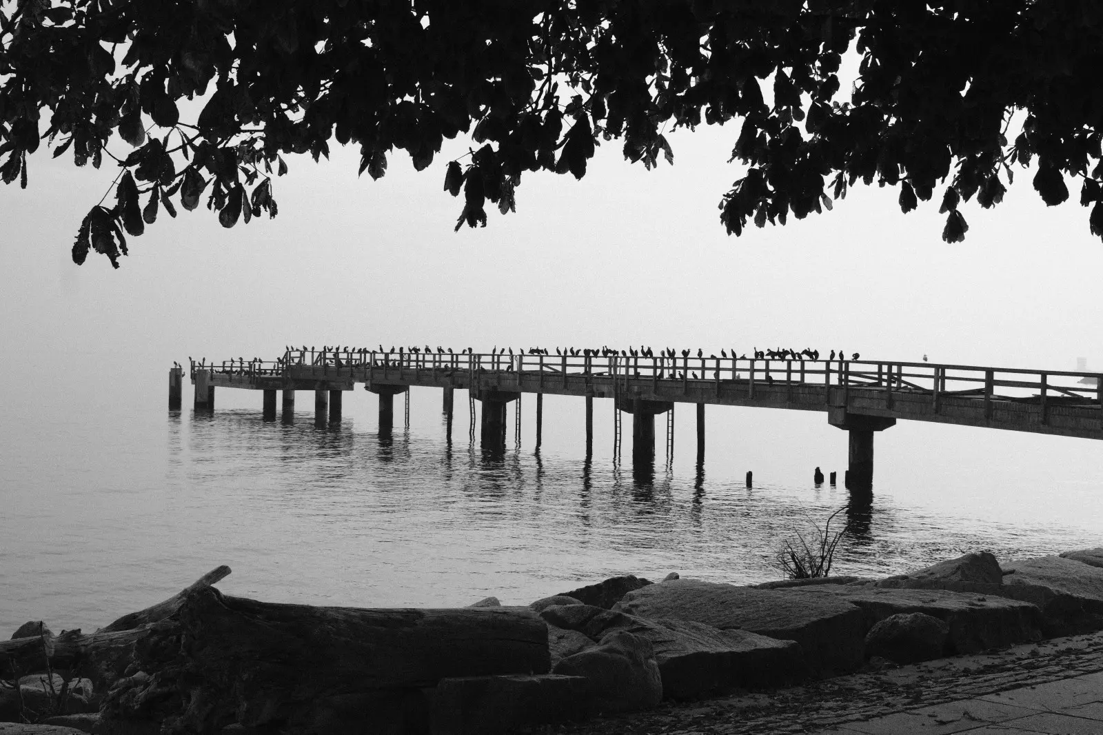 Banner image 1/1