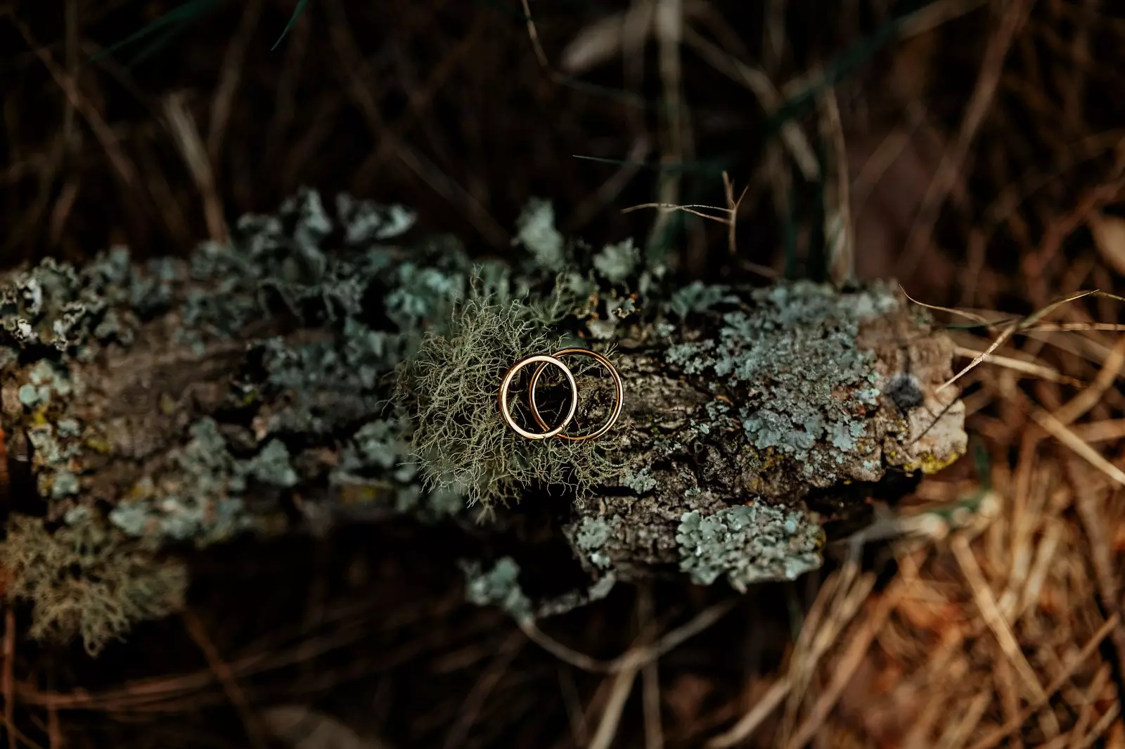 Banner image 4/4