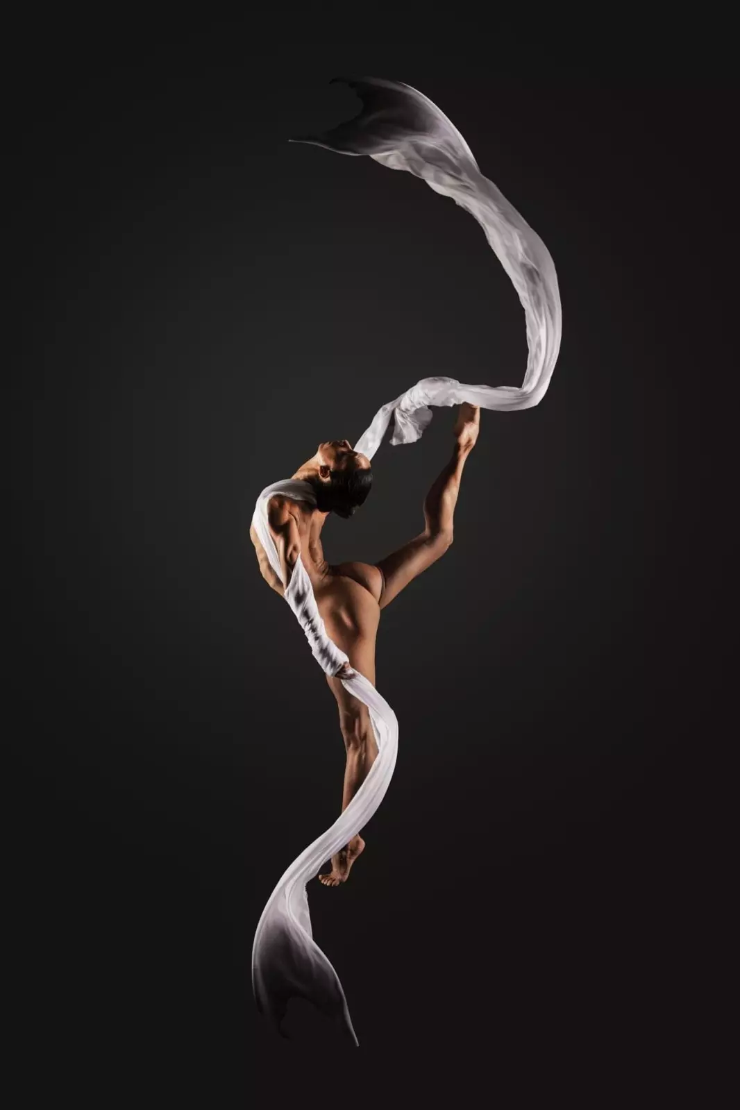 Banner image 4/4