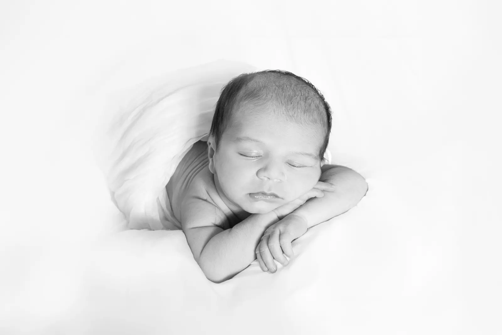 Banner image 5/5