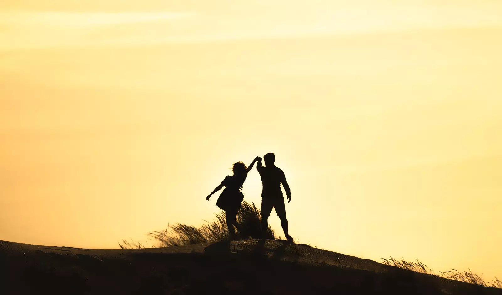 Banner image 4/4